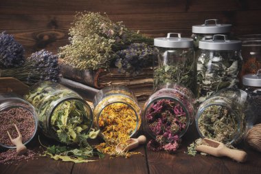 Kuru şifalı bitkilerle dolu kavanozlar - heather, calendula, koni çiçekleri, ıhlamur ağacı çiçekleri, Melissa, kuru bitkiler, ahşap masadaki eski kitaplar. Alternatif tıp. 