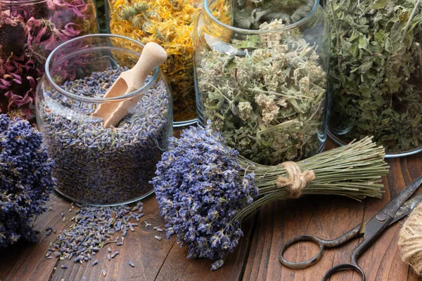 Glass Jar Dry Lavender Flowers Making Herbal Tea Bunches Dry — Stock Photo, Image