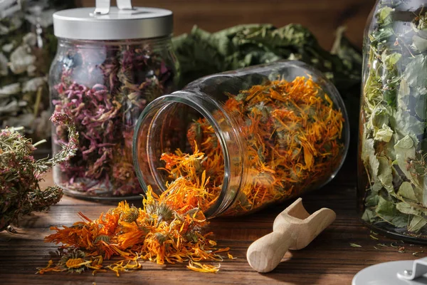 Glass Jar Dry Calendula Flowers Making Herbal Tea Jars Various — Stock Photo, Image