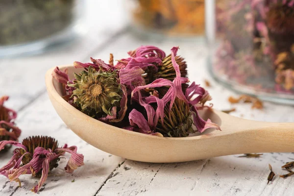 Holzlöffel Gesunder Echinacea Blütenblätter Und Knospen Für Die Teezubereitung Glasgefäße — Stockfoto