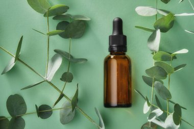 Bir şişe okaliptüs yağı ve okaliptüs ağacı yaprakları yeşil arka planda..