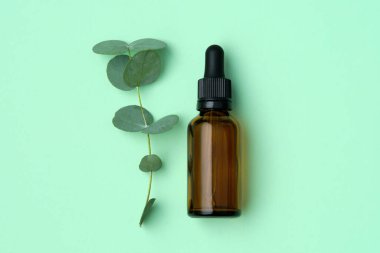 Bir şişe okaliptüs yağı ve yeşil arka planda yaprakları olan okaliptüs dalı. Üst manzara, düz uzanma.