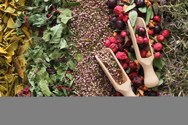 Medicinal Herbs Healthy Fruits Berries Mistletoe Heather Cranberries Black Currants — Stockfoto