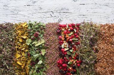 Kuru şifalı otlar, beyaz tahtada meyveler, yabani marjoram, ökseotu, kenevir, kızılcık ve siyah frenk üzümü, kurutulmuş elma, kekik, meşe kabuğu. Şifalı bitkiler, üst görünüm.