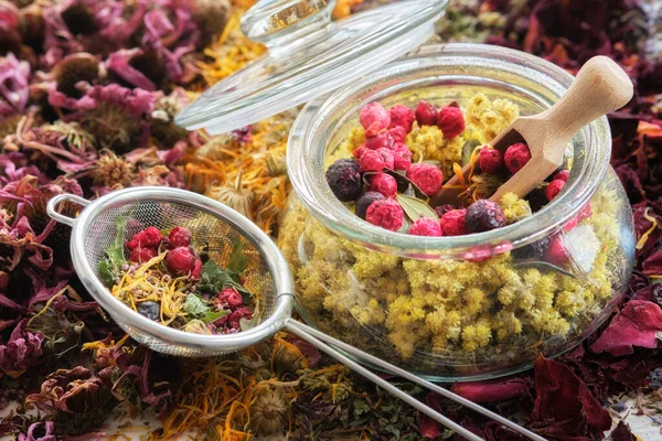 Glasburk Med Medicinalväxter Helichrysum Vilda Mejram Röda Och Svarta Vinbär — Stockfoto