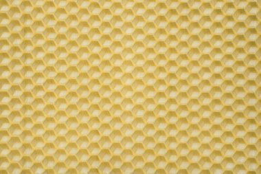 Natural beeswax. Honeycombs bee background. Wax base for honey bee rebuilding. 
