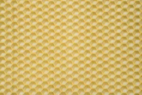 Natural Beeswax Honeycombs Bee Background Wax Base Honey Bee Rebuilding — Fotografia de Stock