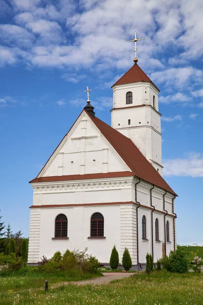 Stara Katedra Przemienienia Pańskiego Lecie Zasłavl Obwód Miński Białoruś — Zdjęcie stockowe