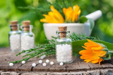 Bir şişe homeopati granülü. Homeopatik ilaç, Calendula. Calendula çiçekleri ve ardıç dalları. Arka planda tıbbi bitkiler ve homeopatik şişeler var. Homeopati tıp konsepti. 