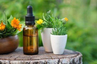 Bir şişe damlatan takvim yağı, aşılama ya da serum sağlıklı kadife çiçekleri ve açık havan toplarında ardıç dalı. Alternatif tıp.
