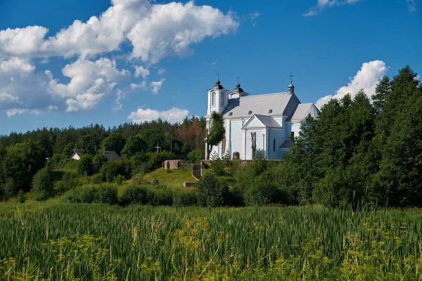 ミンスク地方の夏の風景でヴィシュネヴォ村の聖母マリアの降誕の古い古代の教会 — ストック写真