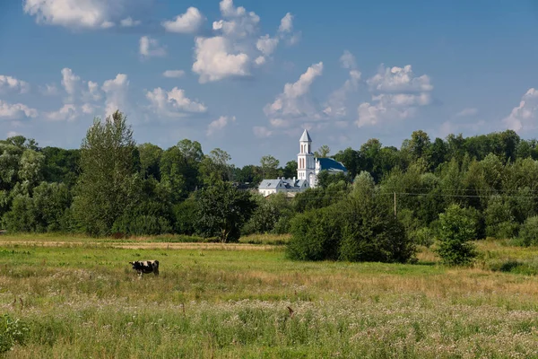 View Church Casimir Summer Landscape Vseliub Village Grodno Region Novogrudok — Stock Photo, Image