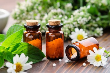 Bir şişe homeopati granülü. Homeopatik ilaçlar, Chamomilla, Mentha piperita. Papatya çiçekleri ve nane yaprakları masada. Homeopati tıp konsepti.