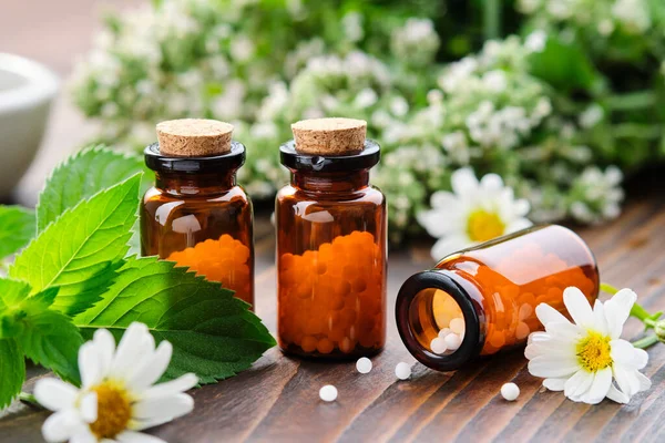 Bottles Homeopathy Granules Homeopathic Remedies Chamomilla Mentha Piperita Daisies Flowers — Stock Photo, Image