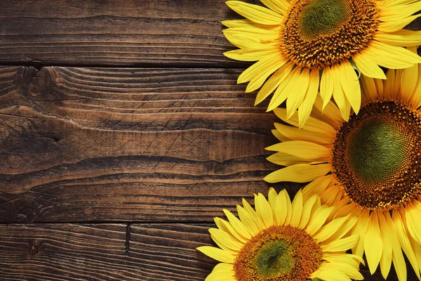 Prachtige Gele Zonnebloemen Houten Plank Bovenaanzicht Kopieer Ruimte Voor Tekst — Stockfoto