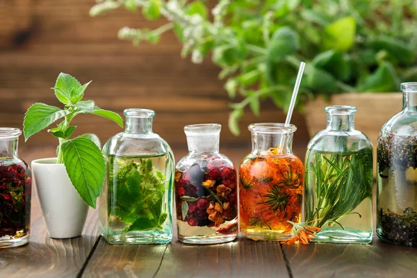 Botellas Aceite Esencial Infusión Hierbas Bayas Bergamota Monarda Menta Caléndula —  Fotos de Stock