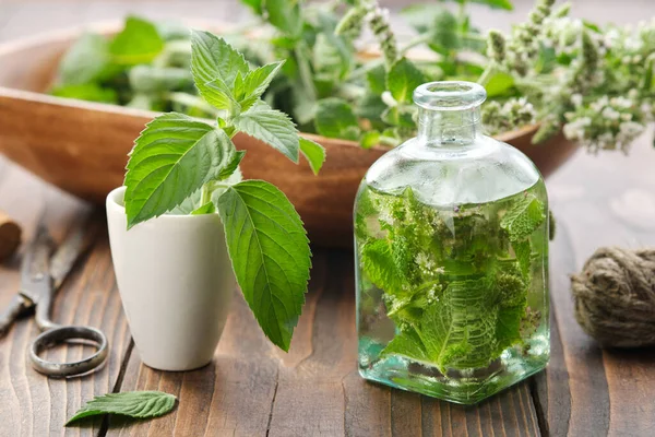 Bottle Infusion Oil Made Mint Leaves Blossom Peppermint Mortar Fresh — Stock Photo, Image
