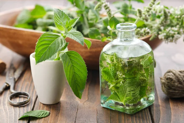 Flacone Infuso Olio Base Foglie Menta Menta Piperita Fiore Mortaio — Foto Stock