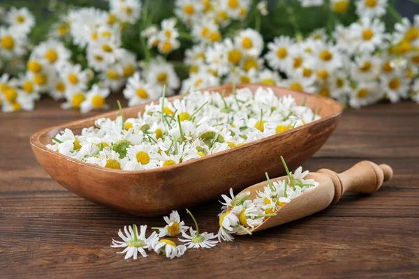 Wooden Bowl Plucked Daisy Flowers Wooden Scoop Chamomile Buds Bunch — Stock Photo, Image