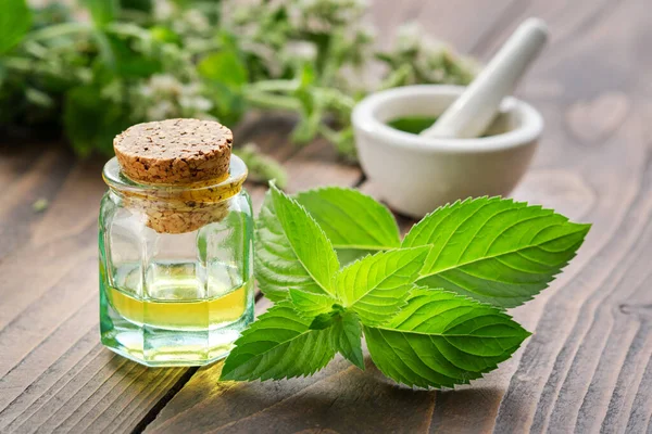 Bottiglia Olio Essenziale Menta Foglie Menta Piperita Mortaio Foglie Menta — Foto Stock