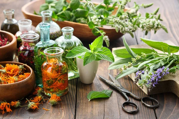一盒瓶瓶的精油或药草和浆果 鼠尾草 治疗植物和药草放在木桌上 替代医药 — 图库照片