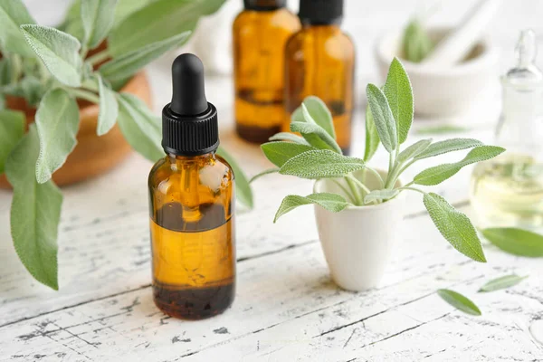 Dropper Bottles Sage Essential Oil Fresh Green Leaves Sage Salvia — Stock Photo, Image