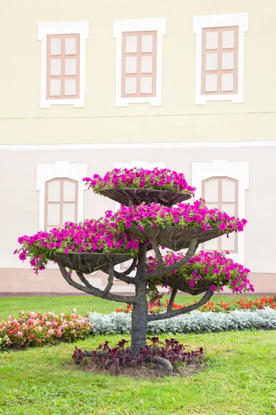 Stad landschap design. bloempotten met petunia op boom. — Stockfoto