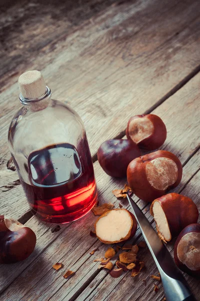 Castanhas e garrafa com tintura saudável — Fotografia de Stock