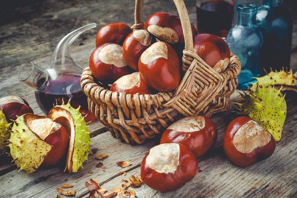 Castañas en cesta y frascos con tintura —  Fotos de Stock