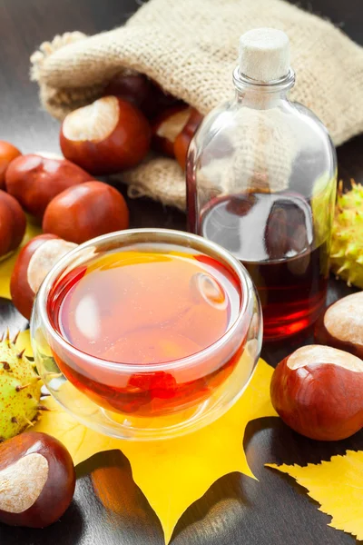 Herbal tea or tincture of chestnuts and sack with horse chestnut — Stock Photo, Image