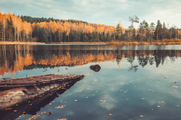 Gyönyörű erdő és a régi, fából készült móló a nyugodt tó a fák — Stock Fotó