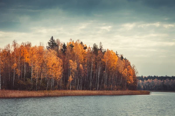 Hermoso bosque con bosque amarillo y lago, paisaje otoñal — Foto de Stock