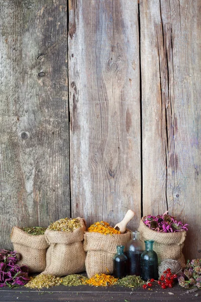 Hierbas curativas en bolsas hessianas sobre fondo de madera viejo, herbario m — Foto de Stock