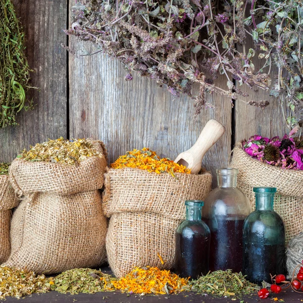 Hierbas curativas en bolsas hessianas y botellas de aceite esencial o ti — Foto de Stock