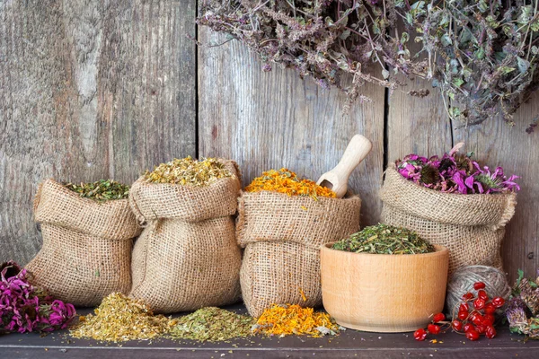 Ervas curativas secas em sacos hessianos e em argamassa na parede de madeira — Fotografia de Stock
