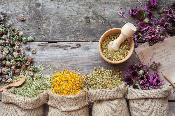 Healing herbs in hessian bags, wooden mortar and recipes, herbal — Stock Photo, Image