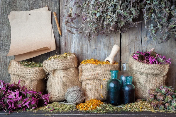 Ervas curativas em sacos hessianos, folhas de papel e garrafas perto de madeira — Fotografia de Stock