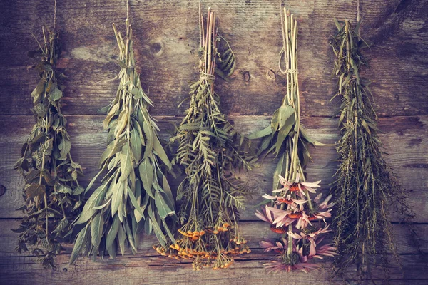 Photo stylisée vintage de grappes d'herbes curatives sur un mur en bois Images De Stock Libres De Droits