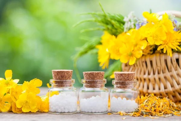 Bouteilles de globules homéopathiques et d'herbes saines dans une bassine en osier Photos De Stock Libres De Droits