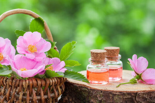 Wicker basket with rose hip flowers and bottles of essential oil