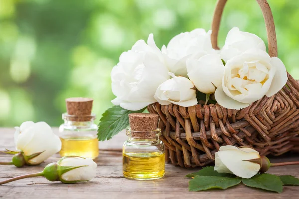 Weidenkorb mit weißen Rosen und Flaschen mit ätherischen Ölen — Stockfoto