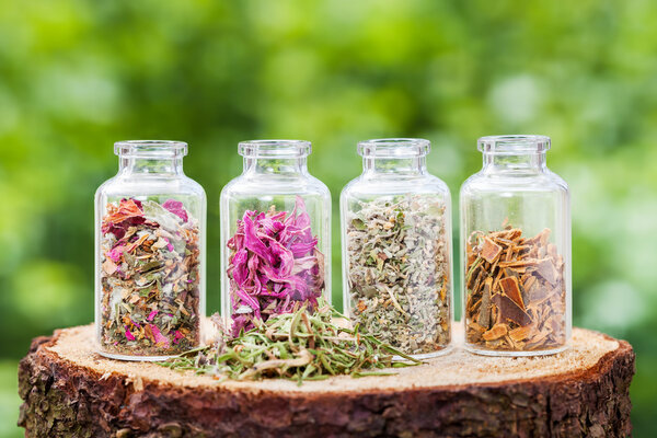 Glass bottles with healing herbs on wooden stump on green backgr