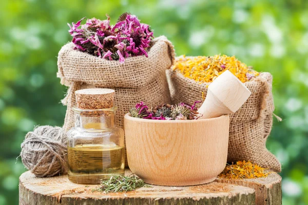 Healing herbs in hessian bags, wooden mortar with coneflowers an — Stock Photo, Image