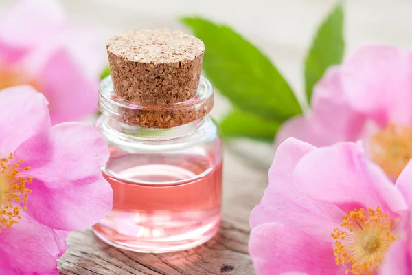 Bottle of essential roses oil and pink wild rose flowers. — Stock Photo, Image