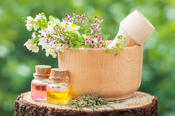 Rustic mortar with healing herbs and bottles with essential oi — Stock Photo, Image