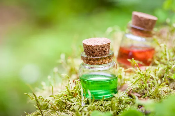 Two bottles of essential oil or magic potion on moss — Stock Photo, Image