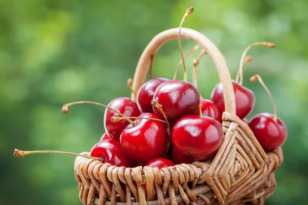 Basket with cherry close up. — Stock Photo, Image