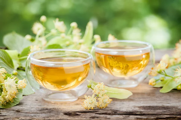 Two cups of healthy linden tea, herbal medicine. — Stock Photo, Image