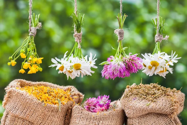 Mazzi di erbe curative e sacchetti di hessian con calendula essiccata, chiodo di garofano — Foto Stock