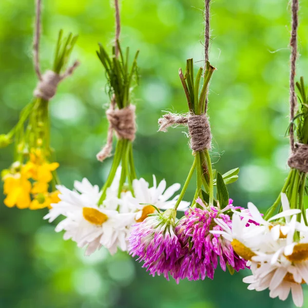 Healing herbs bunches. Focus on clover. Herbal medicine. — Stok fotoğraf